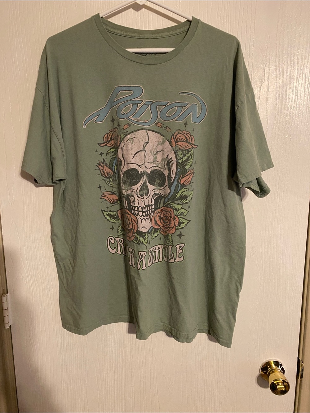 Poison Skull Graphic Tee - Sage Green